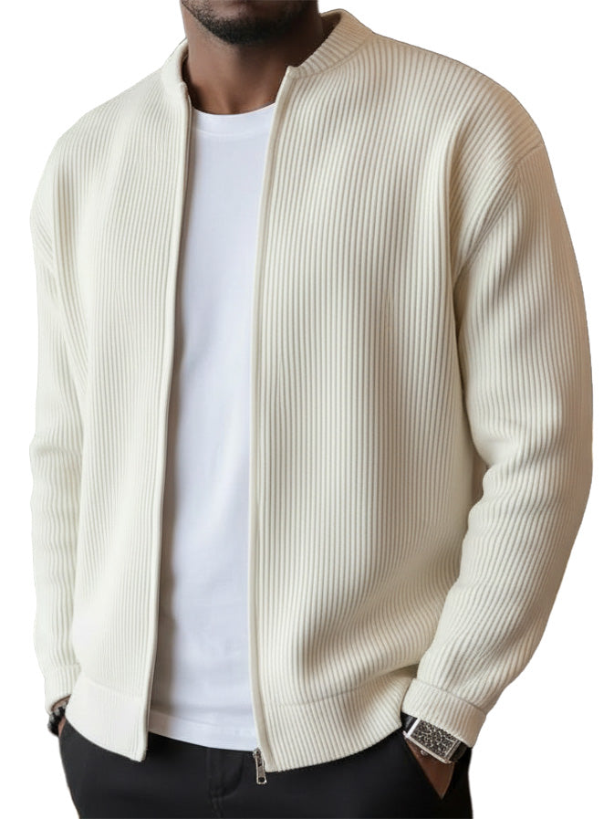 🔥 LAST DAY — 49% OFF! Men's Simple Casual Ribbed Stand Collar Zipper Long Sleeved Jacket